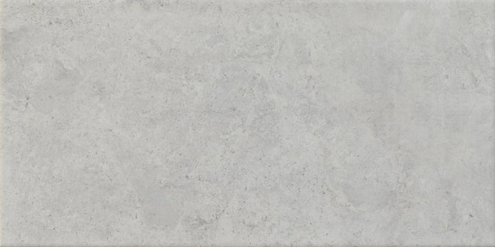Alaplana Ceramica, Bayaz - PR0502 - Gris, Naturale, 25x50cm, 10.00mm