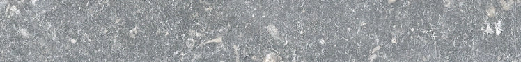 Exagres, Ardenas - Gris, Smooth, 14.5x120cm, 10.00mm, Rett.