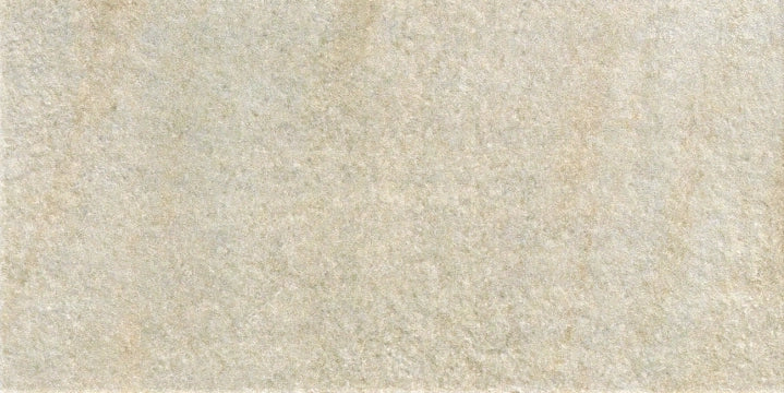 Antica Ceramica Rubiera, Fossili - Grigio, Naturale, 15.3x31cm, 9.00mm