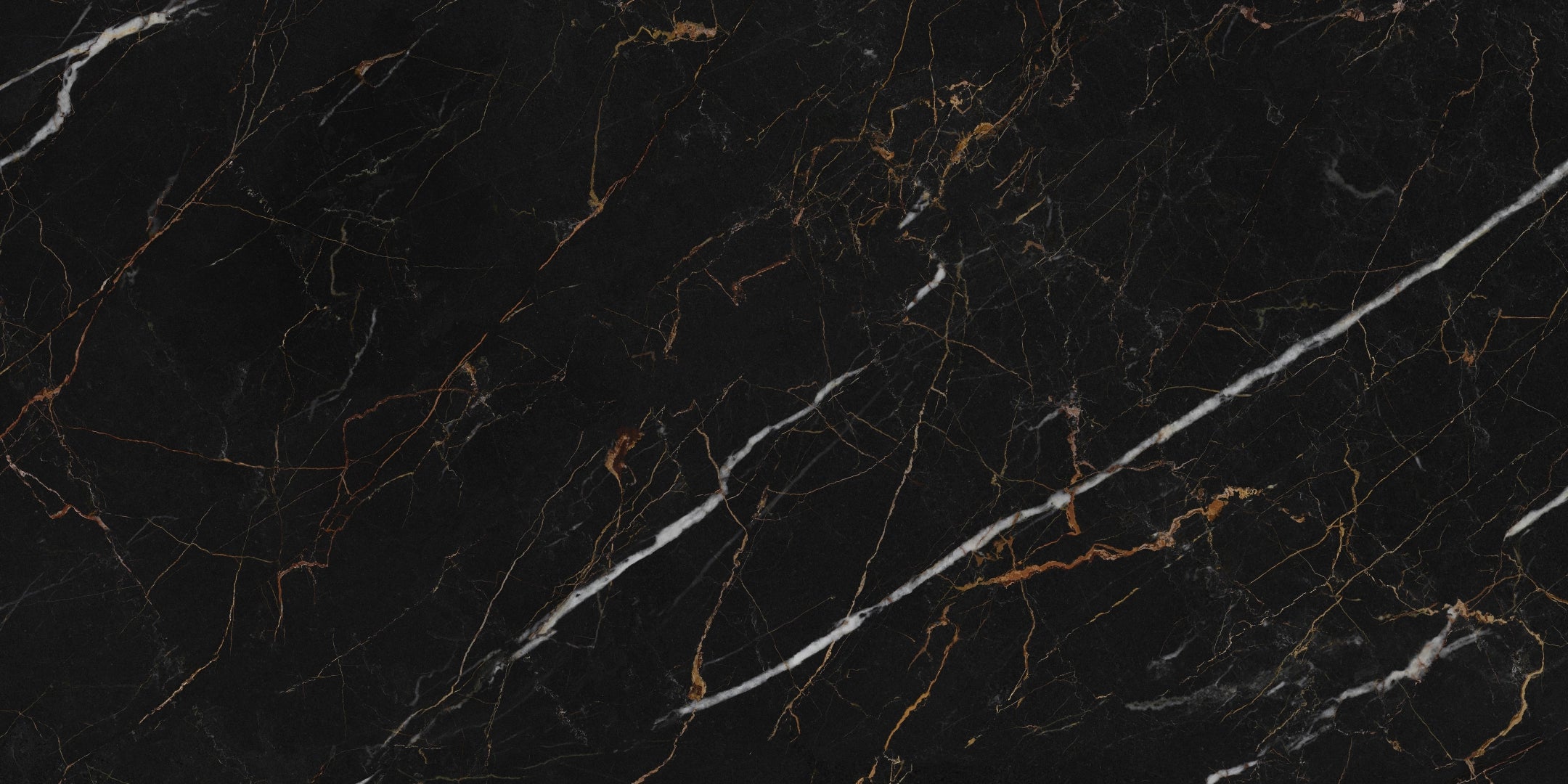 Class Tile, Divina - CEDIV060050 - Marquina Black Gold, Polished, 60x120cm, 9.00mm, Rett.
