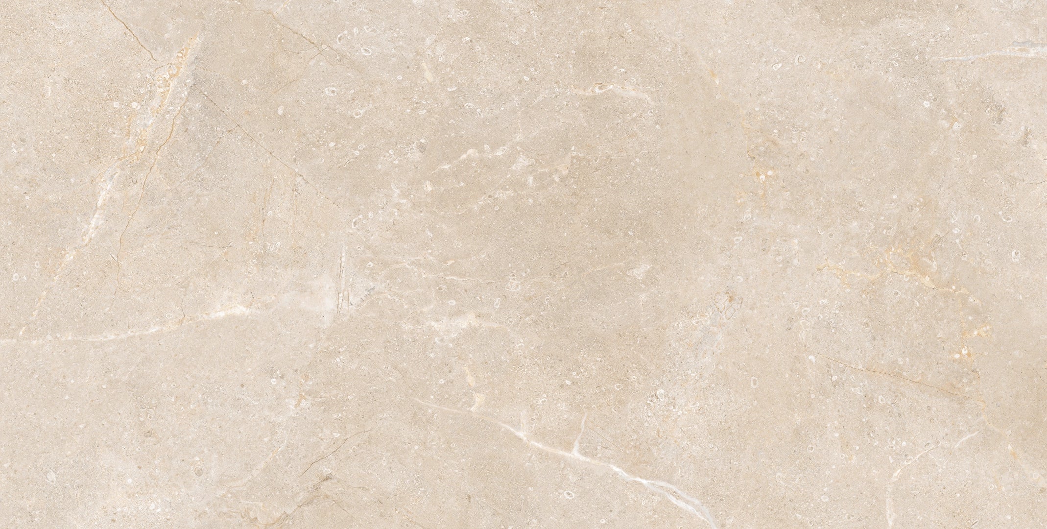 Ecoceramic, Atenas - MLP08694---Atenas,-Polished,-60x120cm,-10.00mm,-Rett.