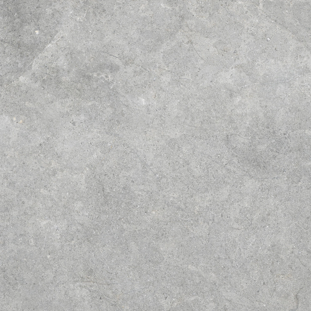 Ragno, Richmond - RAFC - Silver, C2 , 100x100cm, 8.50mm, Rett.