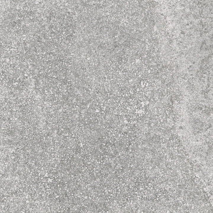 Porcelanicos Hdc, Fossil - Gris, Lappato, 59.4x59.4cm, 9.80mm, Rett.