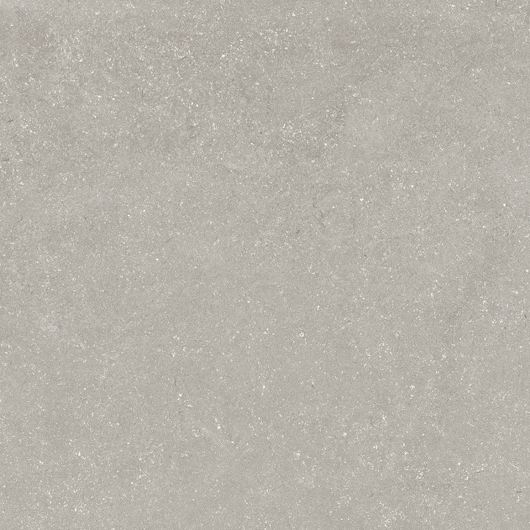 PorcelaniteDos, Amberes - 1824 - Silver, High Traffic, 100x100cm, 10.00mm, Rett.
