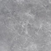 Pamesa, Ascolano - Gris, Leviglass, 90x90cm, 10.00mm