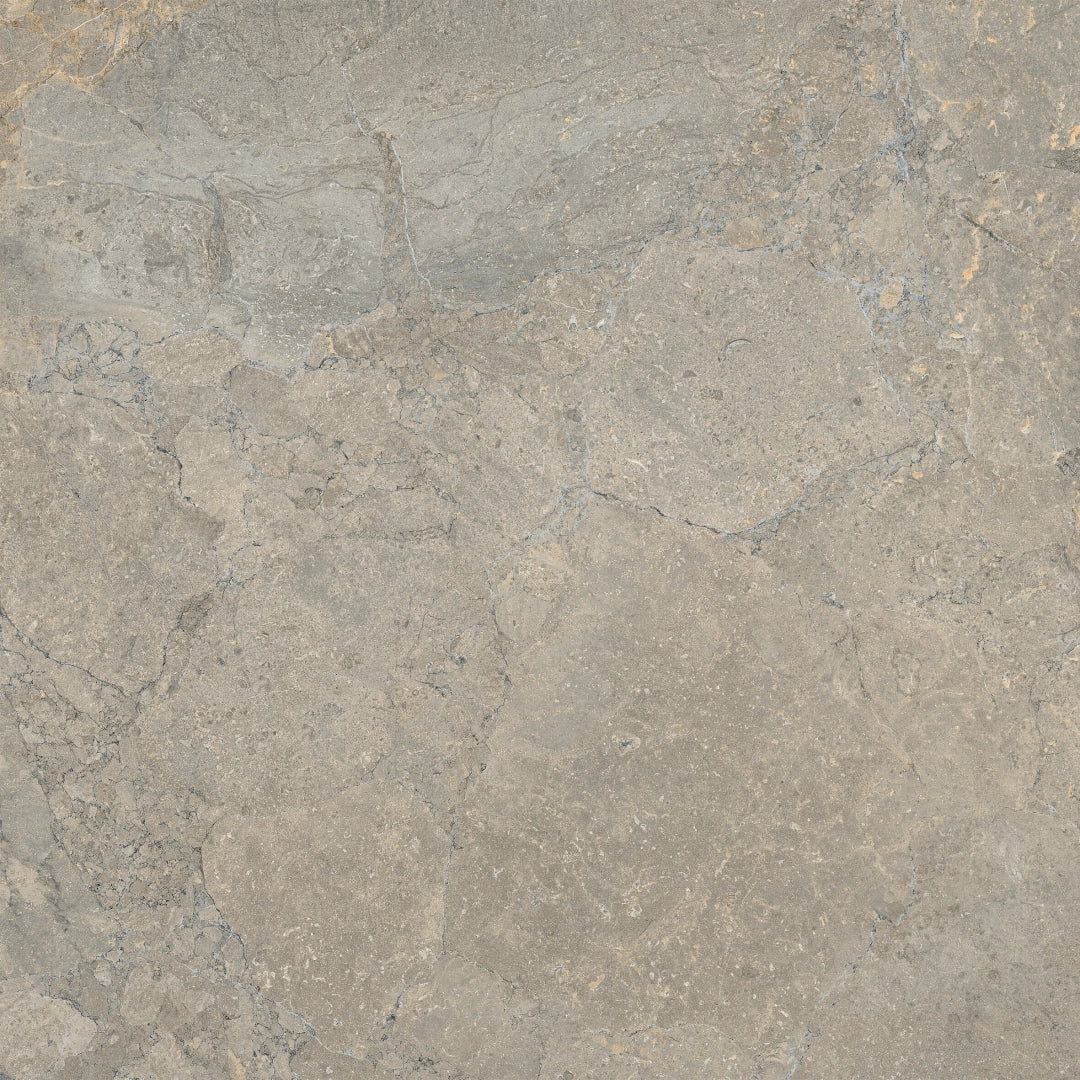 Lea Ceramiche, Anthology - LS8AL20 - Earth, Naturale, 120x120cm, 6.00mm, Rett.