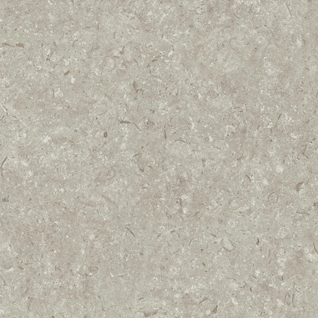 Grespania, Fosil - 52F2E65 - Gris, Matt, 60x60cm, 20.00mm, Rett.