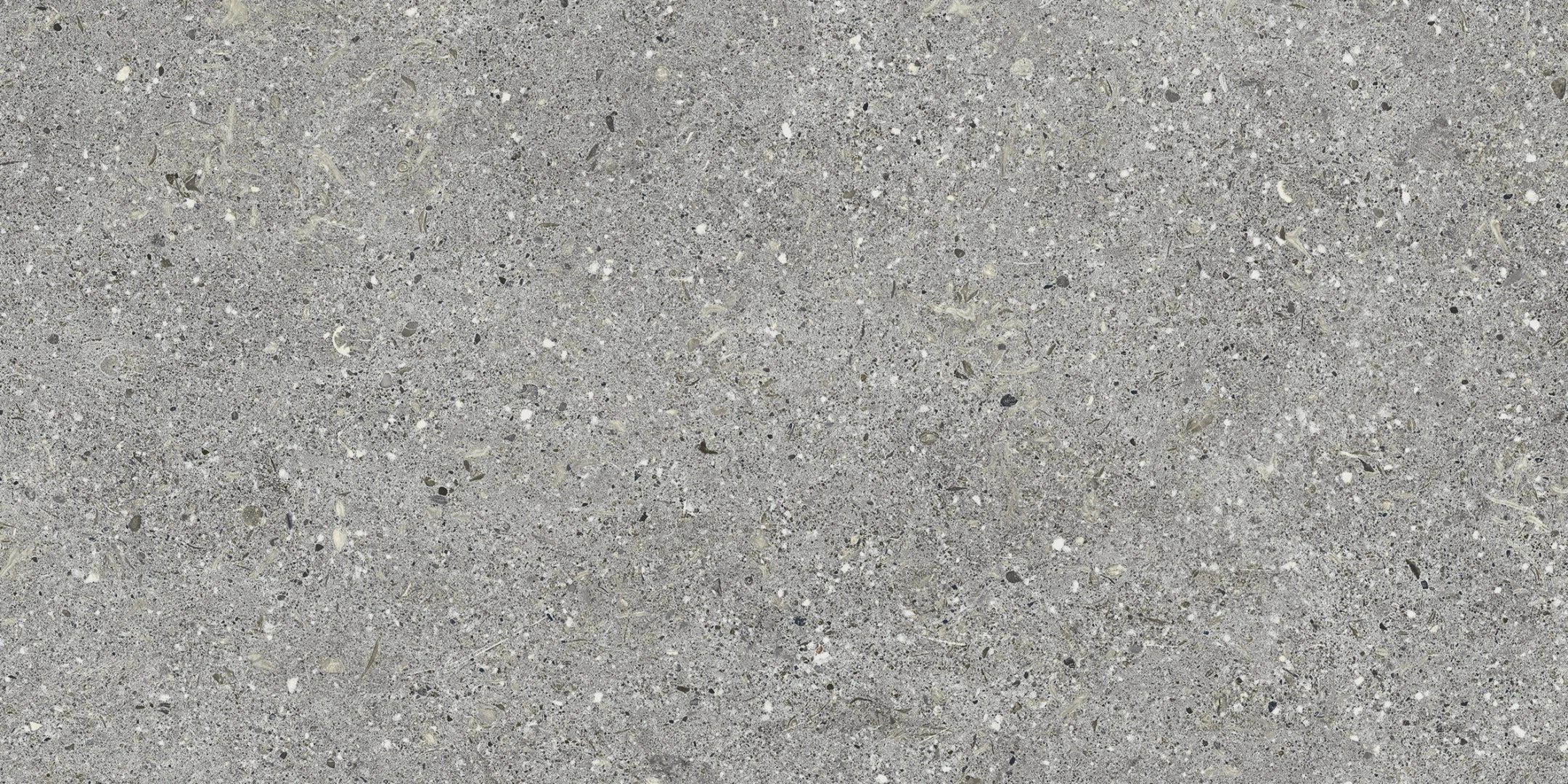 Baldocer, Brunswich - P6012R - Cromo, naturale, 60x120cm, 10.00mm