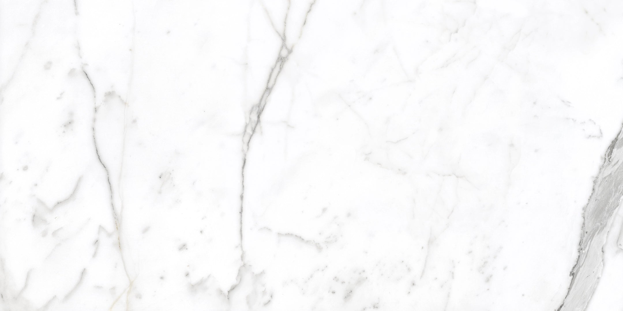 Ceramiche Campogalliano, I Marmi - Statuario, Levigato, 39.5x79.5cm, 8.50mm, Rett.