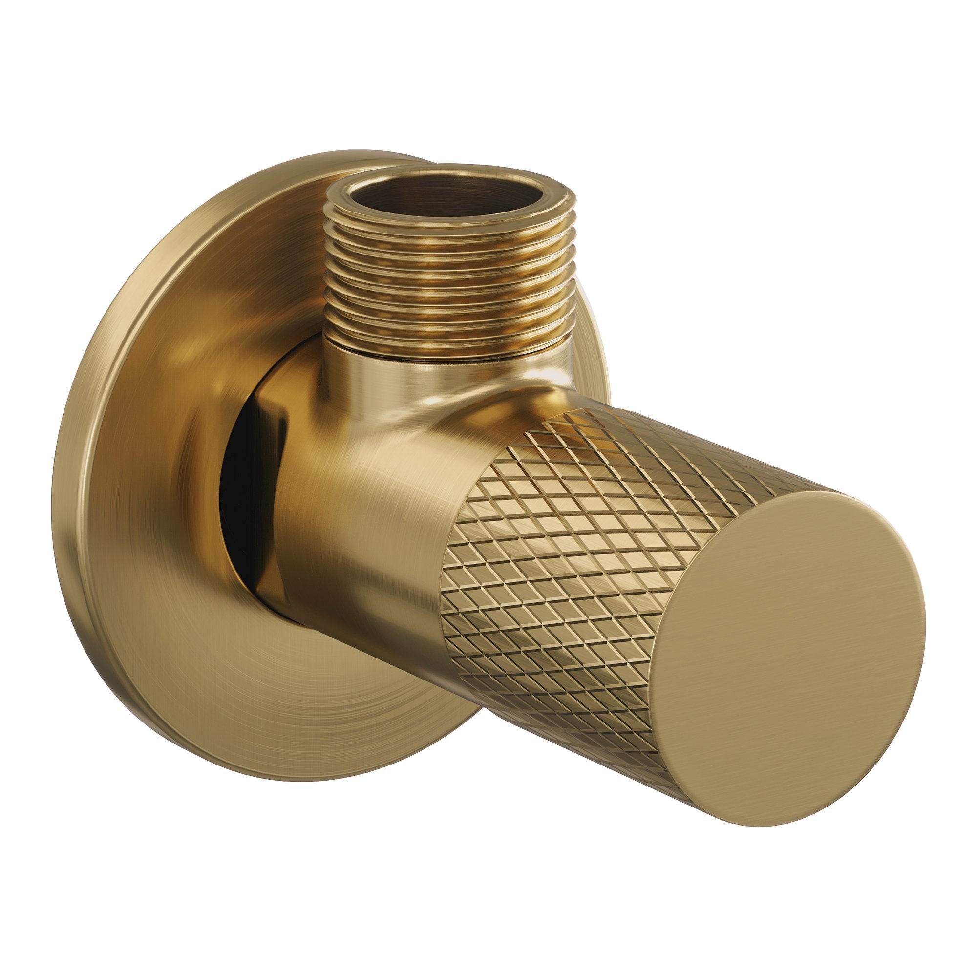Brauer Carving hoekstopkraan compleet met slang - Geborsteld Goud PVD
