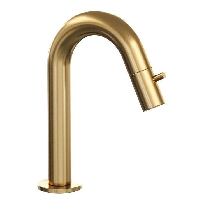 Brauer Edition opbouw fonteinkraan met gebogen uitloop - Geborsteld Goud PVD
