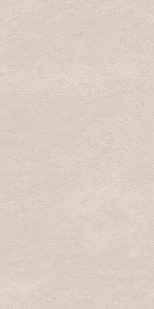 Cedit, Chimera - 769426 - Radici Beige, Lucido, 120x240cm, 6.00mm, Rett.