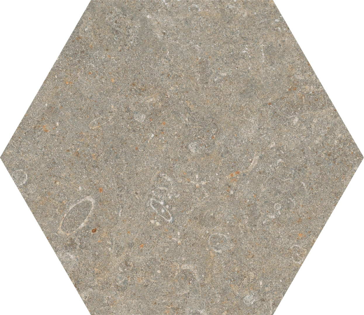 Marca Corona, Arkistyle - J159 - Fossil, Naturale, 21.6x25cm, 9.00mm