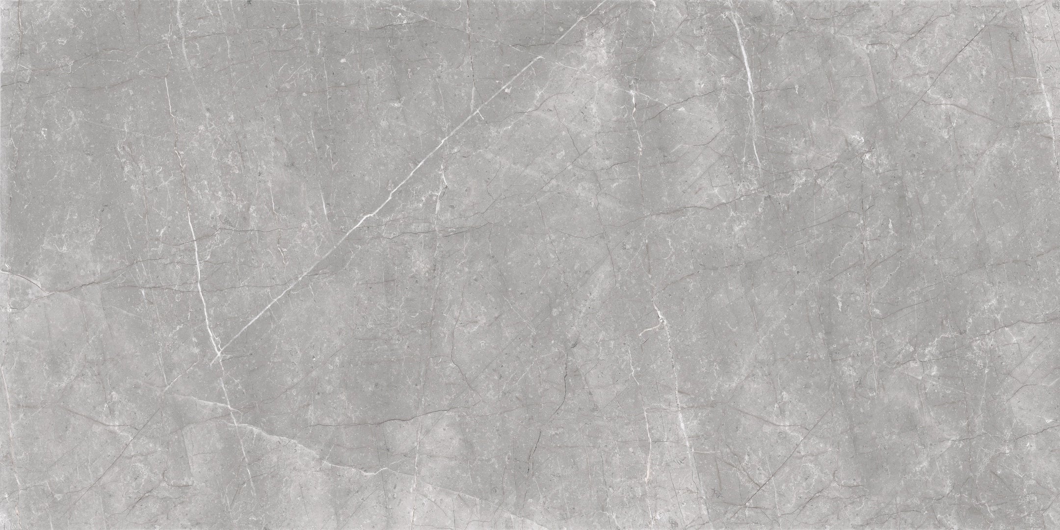 Cerdomus, Mexicana - 72938 - Grey, Levigato, 60x120cm, 9.50mm, Rett.