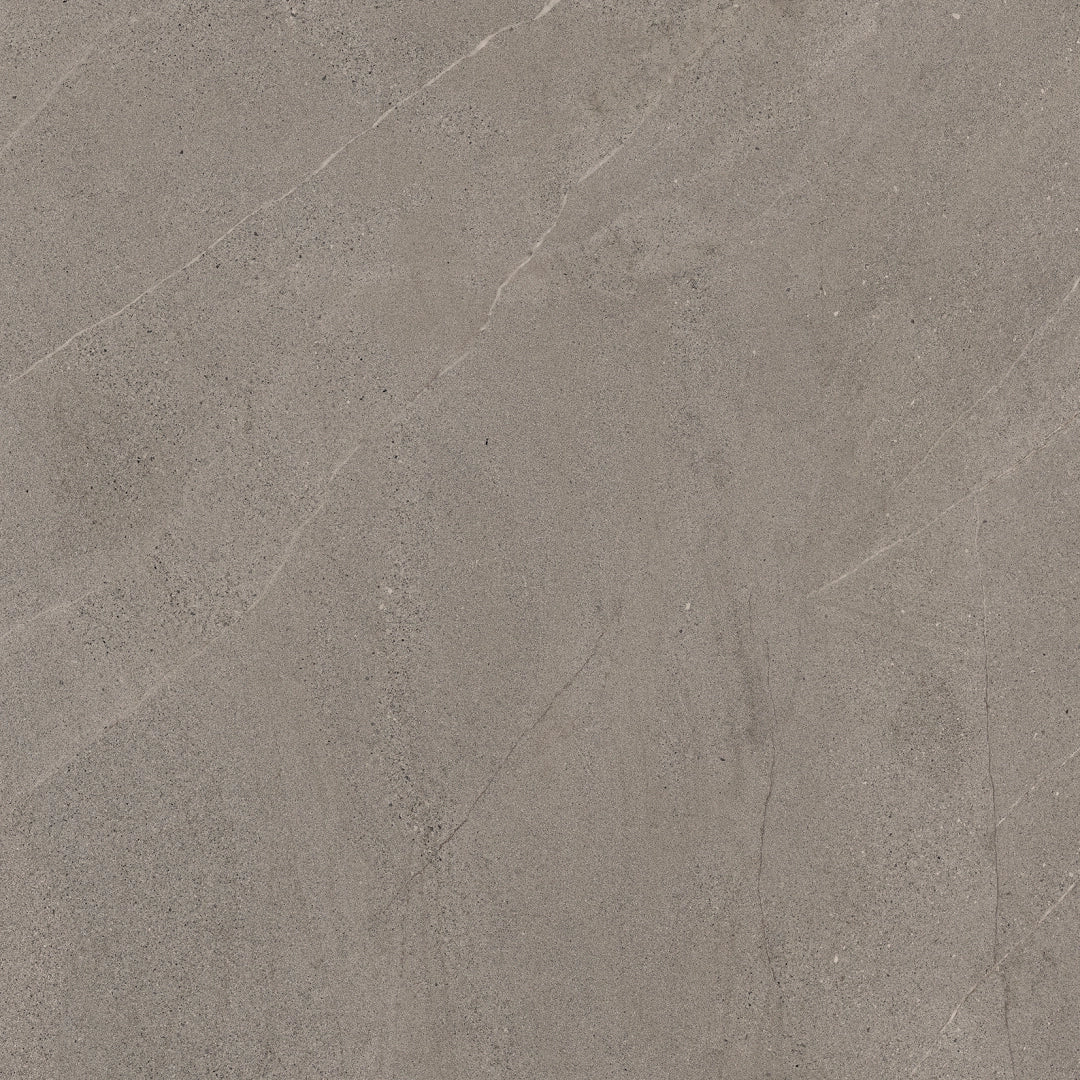 Lea Ceramiche, Nextone - LGWNX20 - Next Taupe, Naturale, 60x60cm, 9.50mm, Rett.
