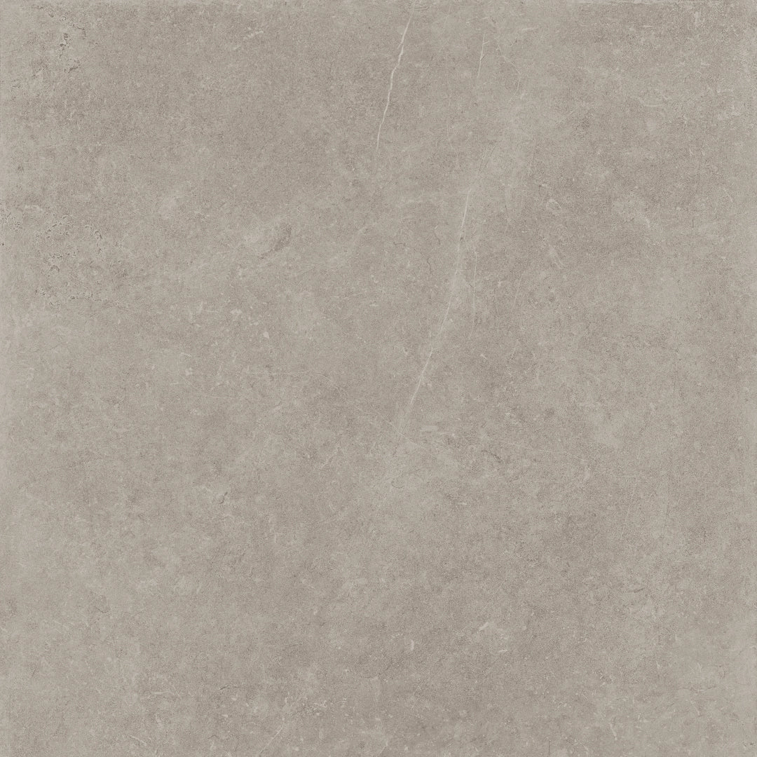 Panaria Ceramica, Prime Stone - PGWPM20 - Silver Prime, Soft, 60x60cm, 9.50mm, Rett.