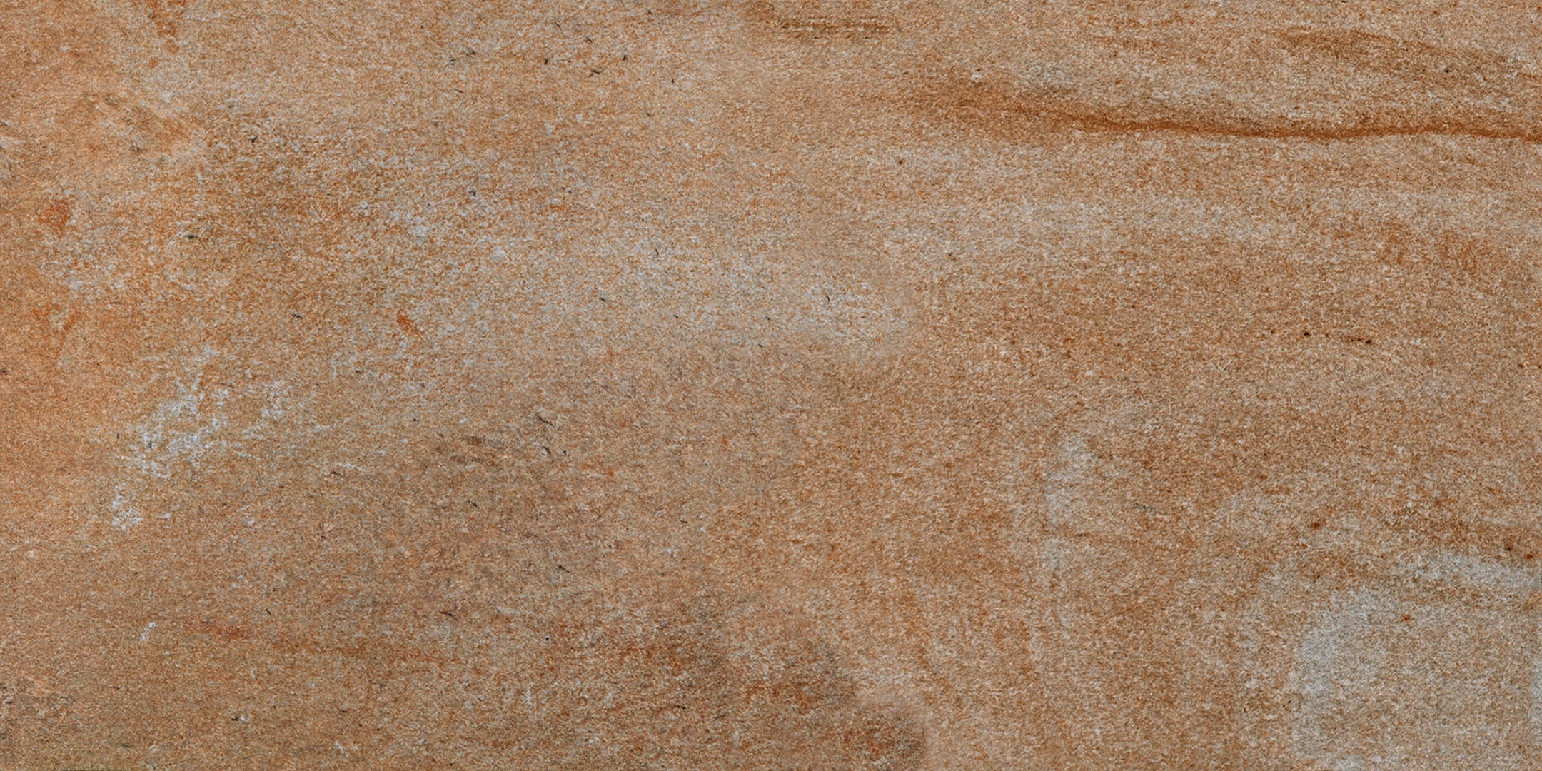 Antica Ceramica Rubiera, Fossili - Ruggine, Naturale, 15.3x31cm, 9.00mm