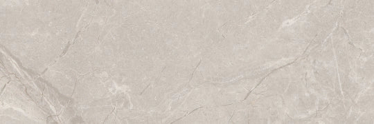 Emotion Ceramics, Sary - Gris, Brillo, 30x90cm, 8.00mm