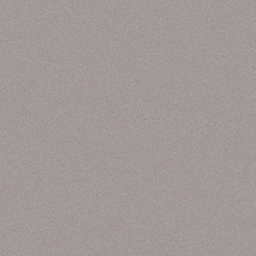 Casalgrande Padana, Architecture - Light Grey, Naturale, 60x60cm, 9.40mm, Rett.