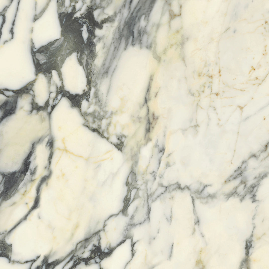 Del Conca, Premiere - GRPM10S - Paonazzo, Shine, 120x120cm, 8.50mm, Rett.