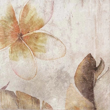 Zyx by Colorker, Amazonia - Tropic Cotto, Matt, 13.8x13.8cm, 10.00mm, Rett.