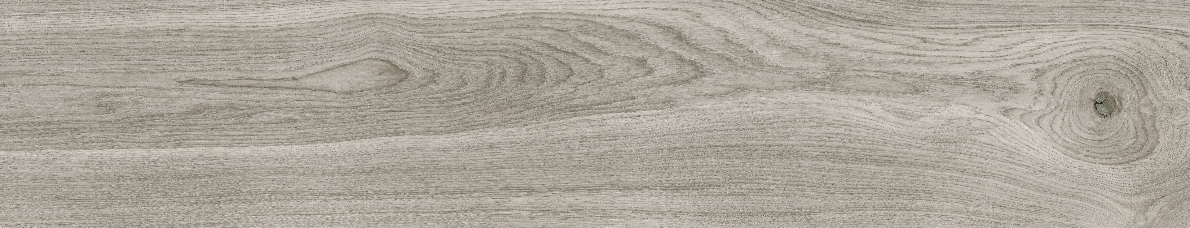 Emotion Ceramics, Hardy - EMP135 - Gris, Mate, 23.3x120cm, 10.00mm
