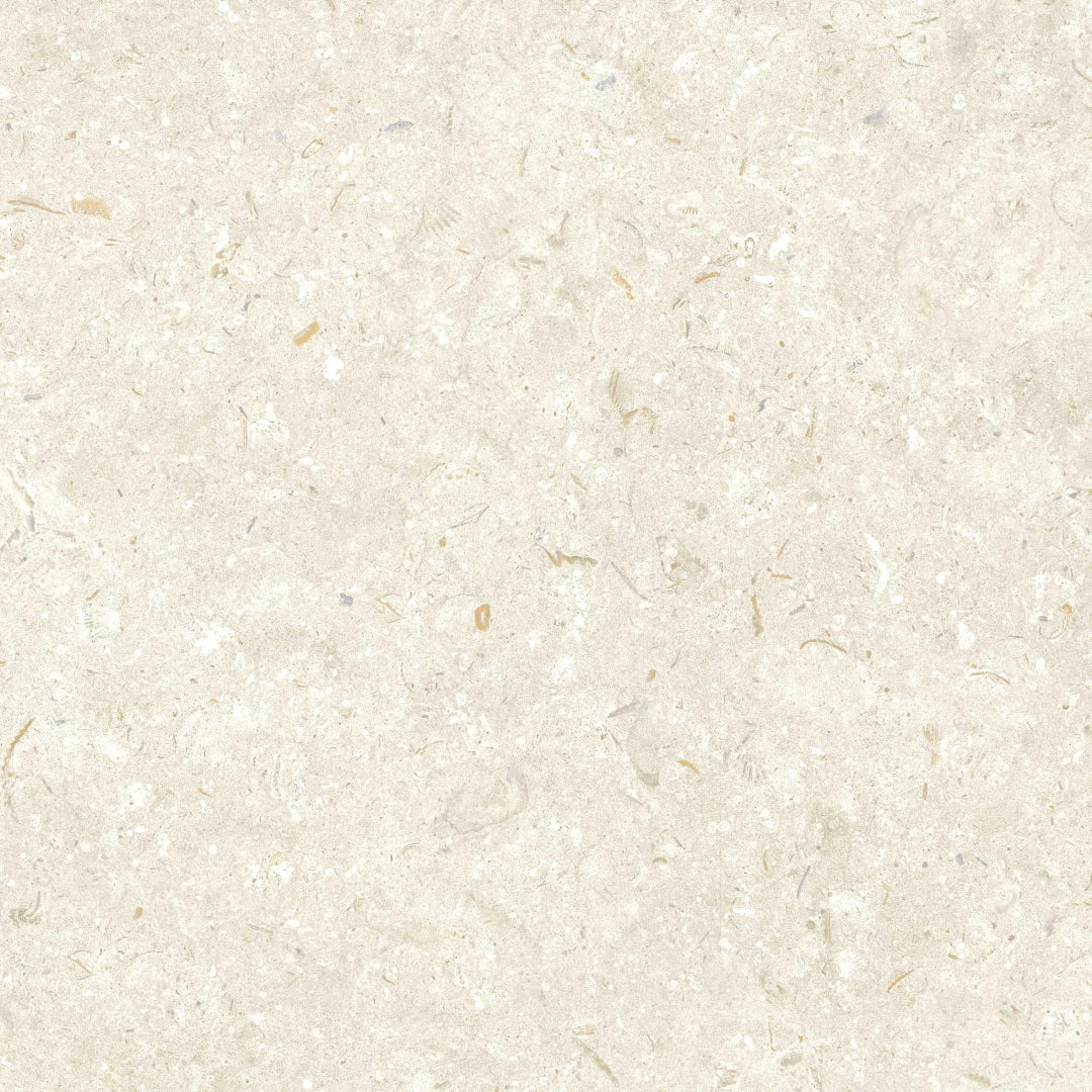 Grespania, Fosil - 52F2E35 - Bone, Matt, 60x60cm, 20.00mm, Rett.
