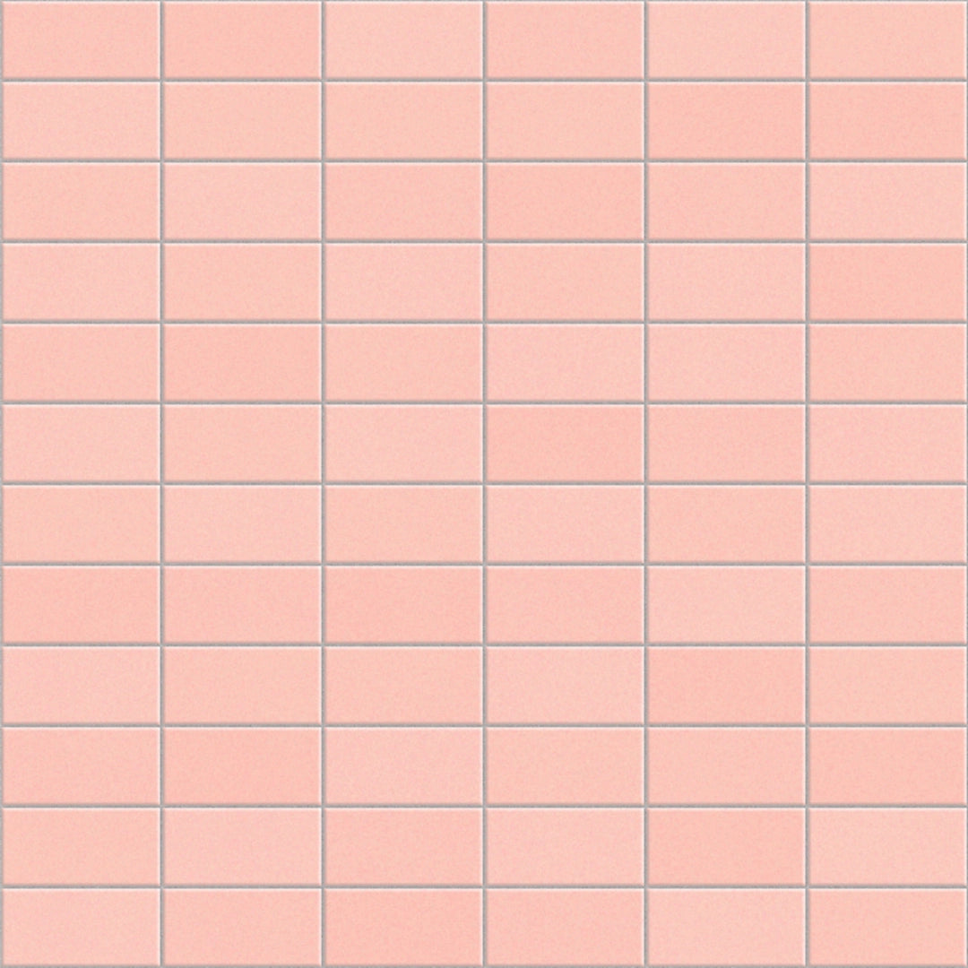 Appiani, Anthologhia - MOS 2003 - Cosmea, Semi-Lucido (5x10), 30x30cm, 7.20mm