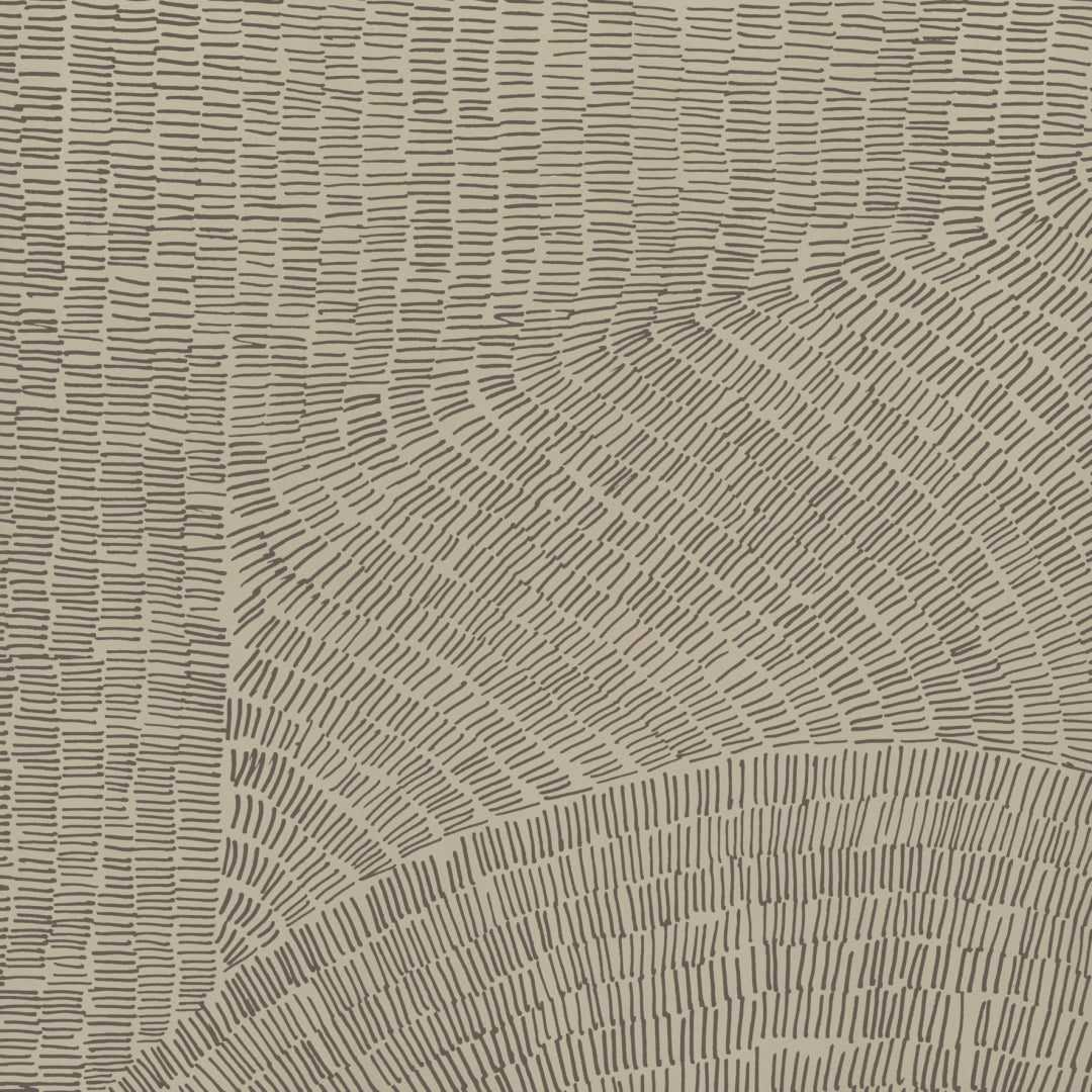 Ceramiche Refin, Fossil - 00 - Beige, Naturale, 60x60cm, 9.00mm, Rett.