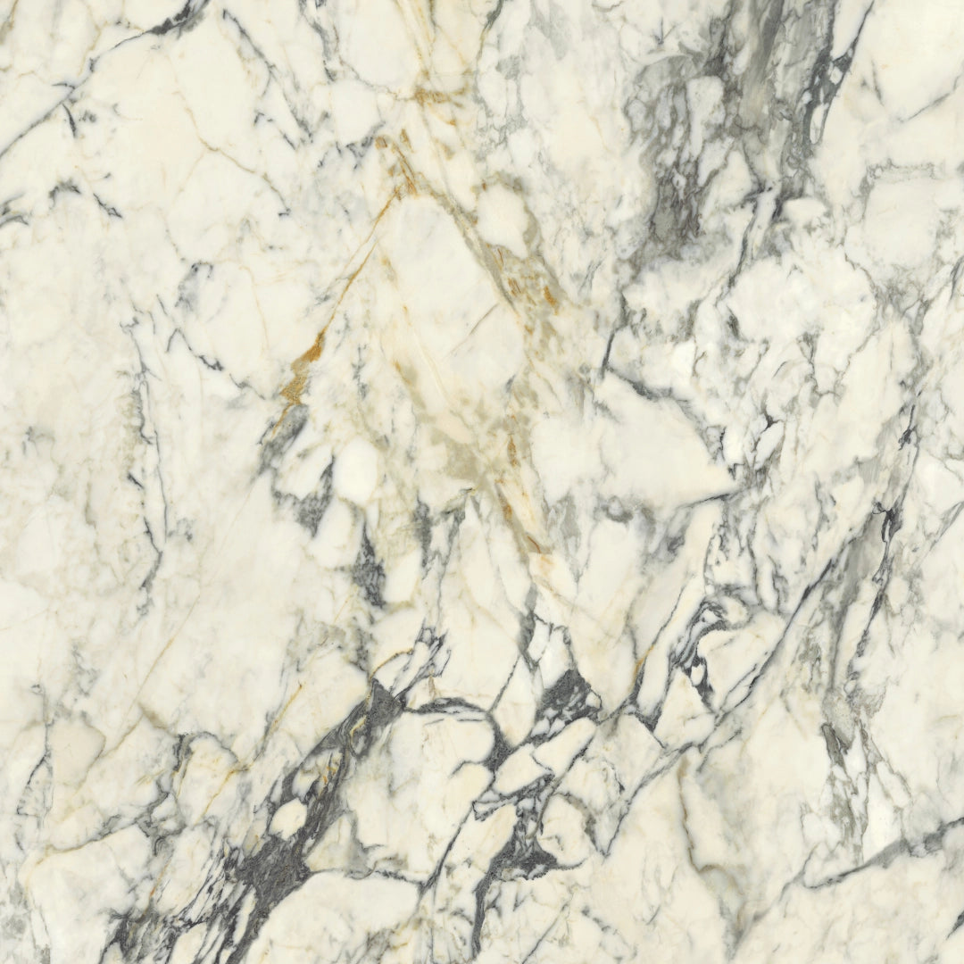 Del Conca, Premiere - GRPM10R - Paonazzo, Nat, 120x120cm, 8.50mm, Rett.