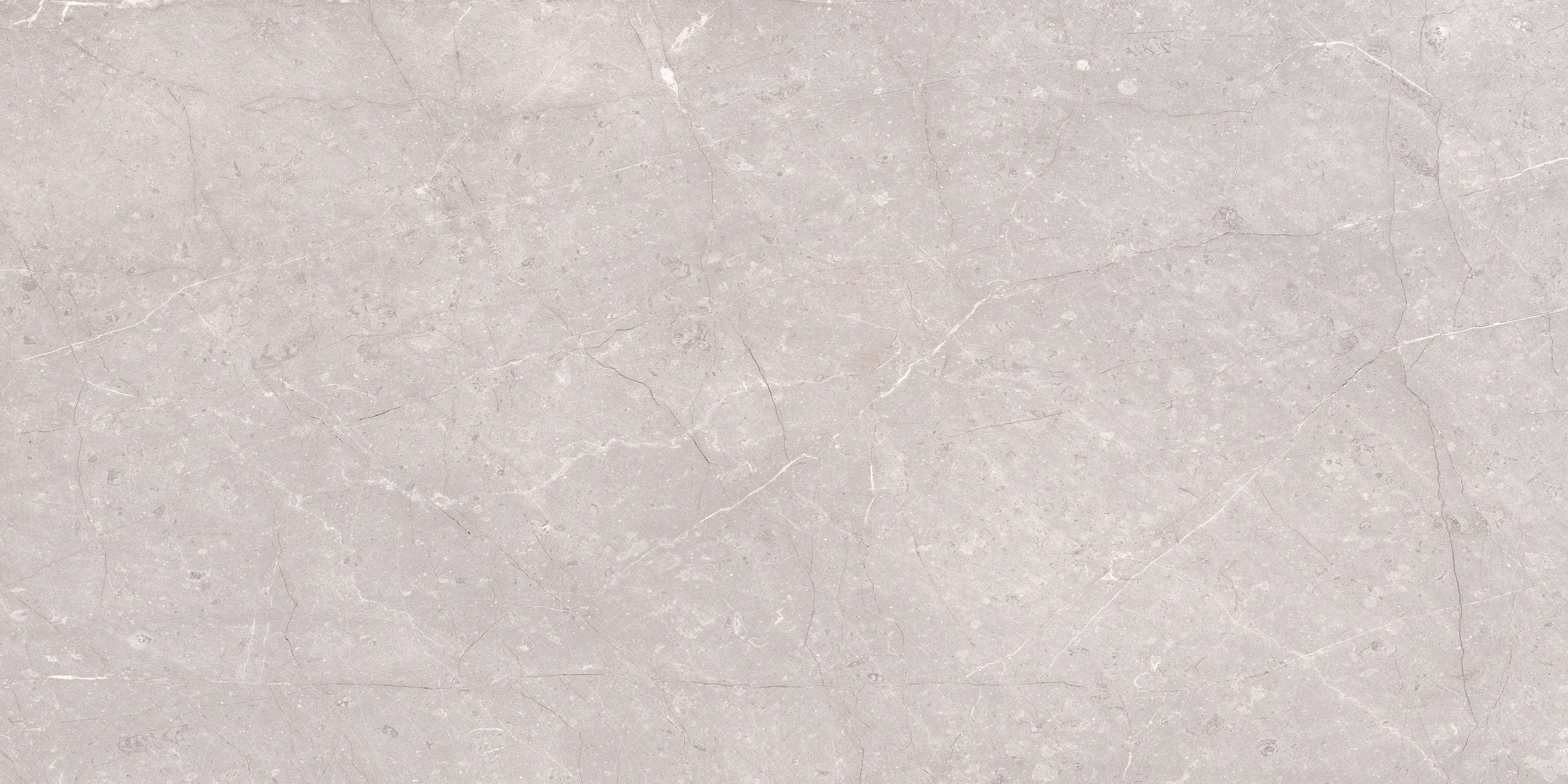 Cerdomus, Mexicana - 65314 - Silver, Matt, 30x60cm, 9.50mm, Rett.