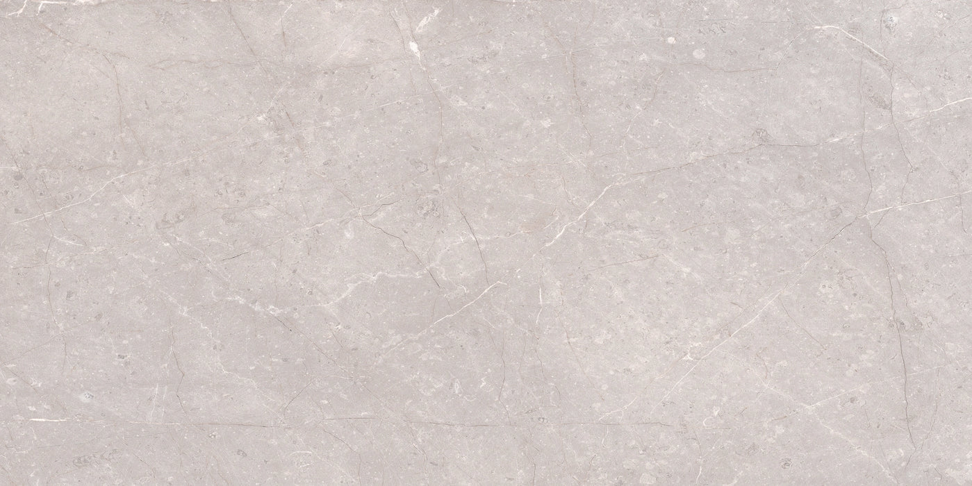 Cerdomus, Mexicana - 65314 - Silver, Matt, 30x60cm, 9.50mm, Rett.