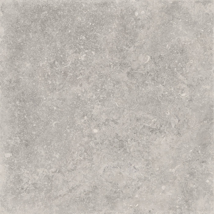 Cerdomus, Nordenn - 77332 - Beige, Matt Sbrecciato, 60x60cm, 9.50mm