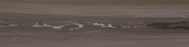 Apavisa, Echo - Silver , Naturale, 25x100cm, 10.00mm, Rett.