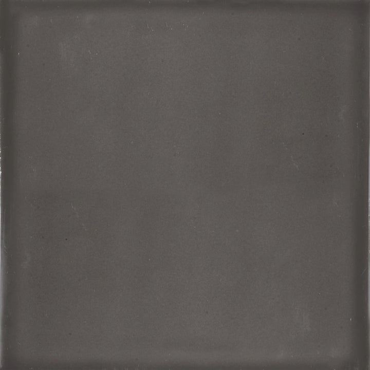 La Fenice Ceramiche, Cromie - Marengo, Matt, 20x20cm, 10.00mm