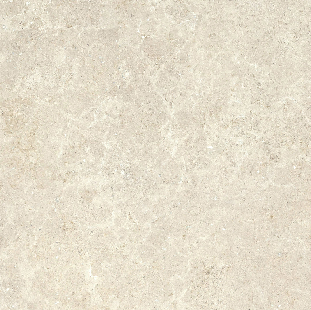 Florim, Stontech/4.0 - 761196---Stone_02,-Naturale-,-60x60cm,-9.00mm,-Rett.