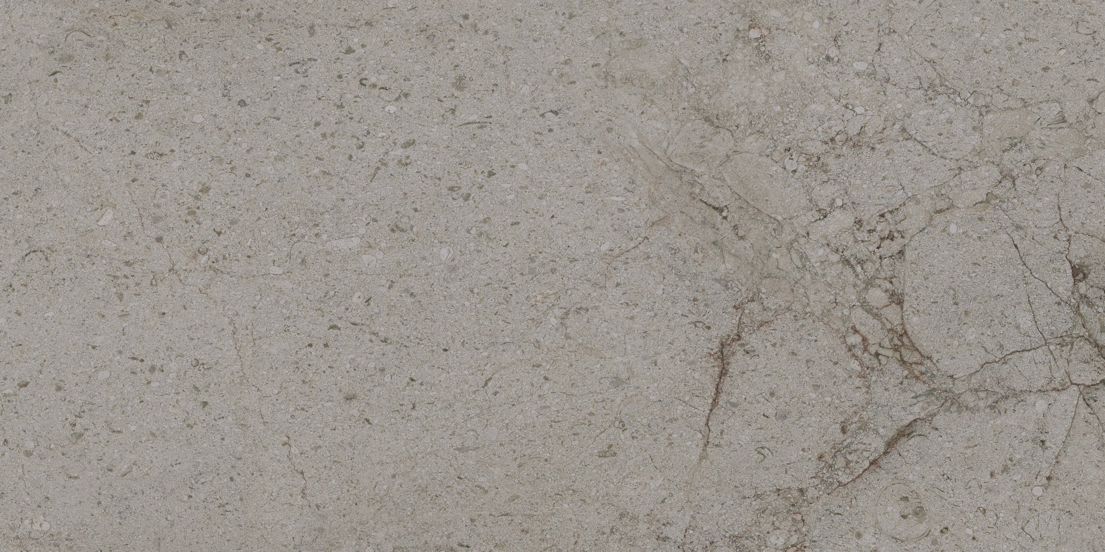 Tau Ceramica, Tornares Zumaia - Silver, Matt, 60x120cm, 10.50mm
