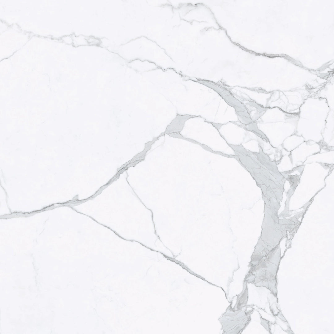 Tagina, Statuario - Statuario, Lucidato, 120x120cm, 6.00mm, Rett.