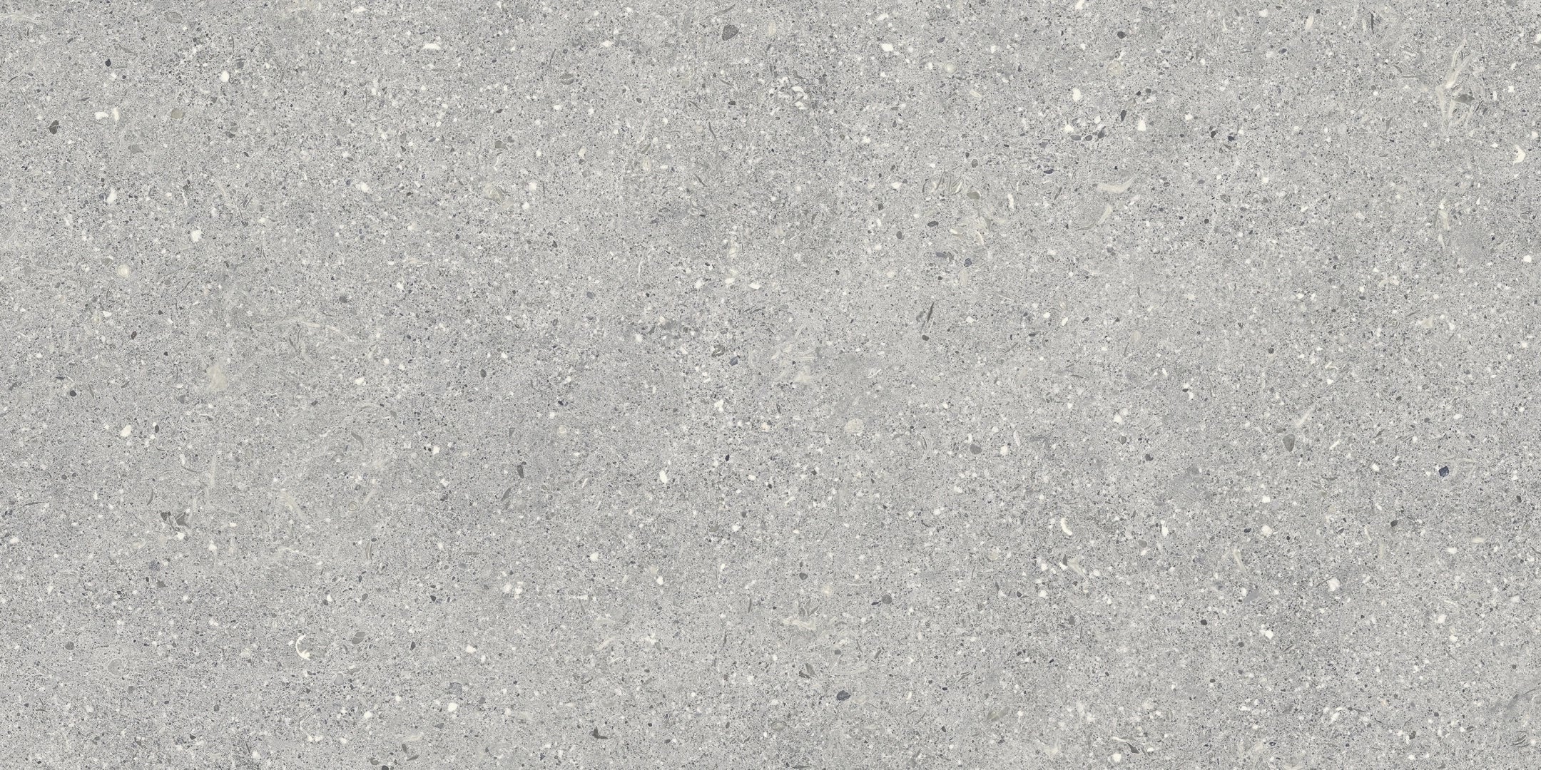 Baldocer, Brunswich - P6012ES - Acero, anti-slip, 60x120cm, 20.00mm