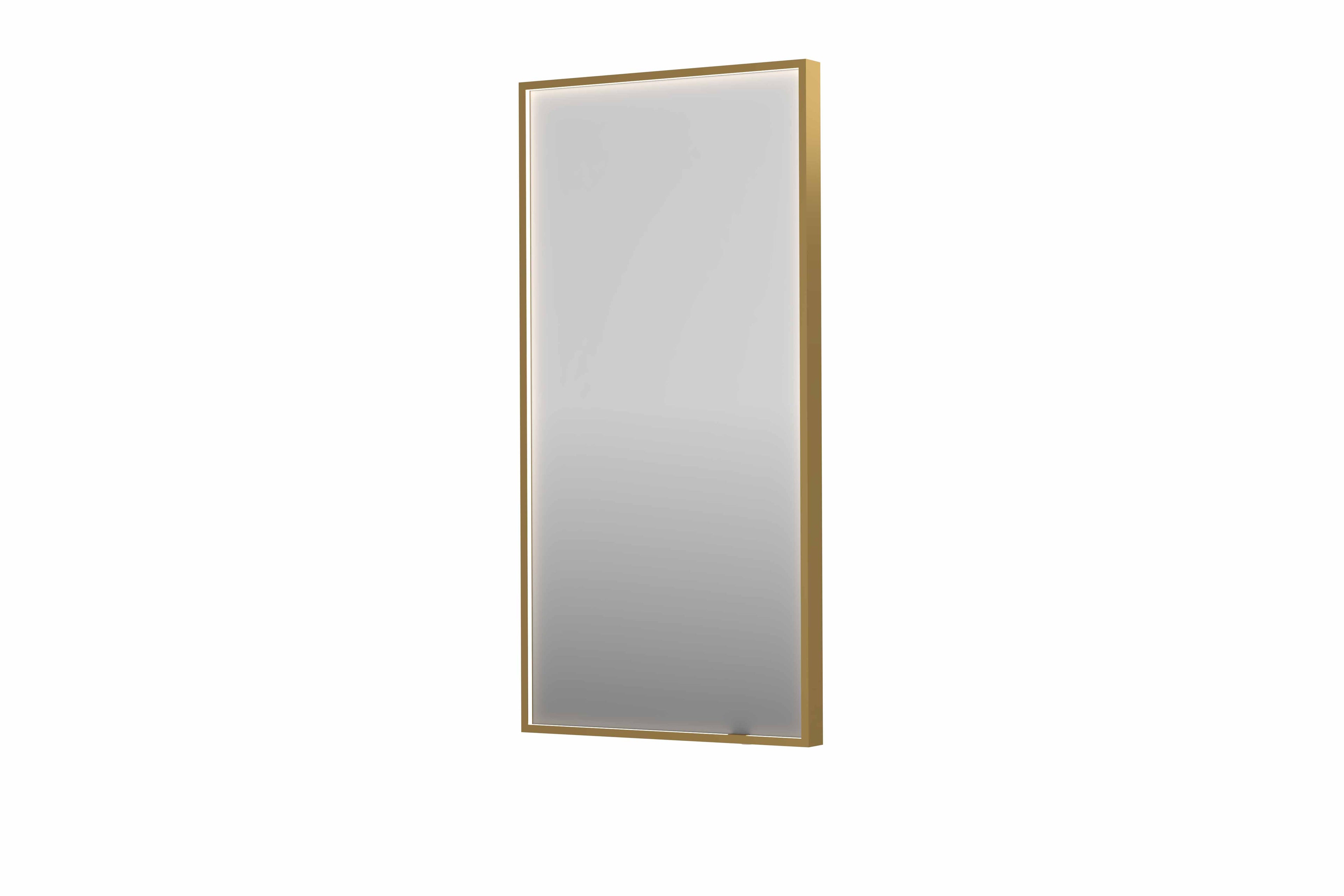 Ink SP19 spiegel in kader 50x100cm directe LED verlichting rondom - Geborsteld Mat Goud