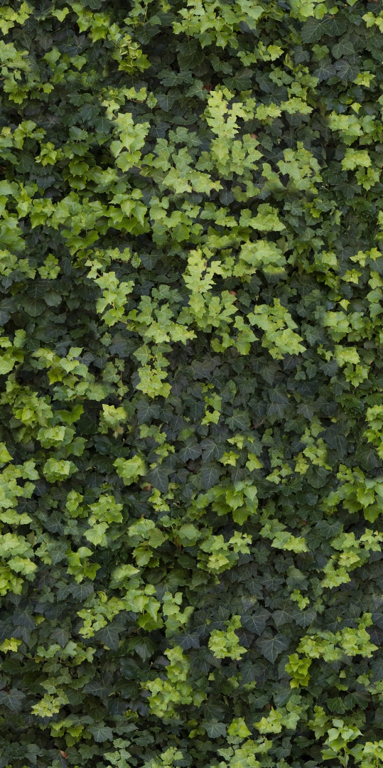 Casalgrande Padana, Limpha - Helix, Naturale, 120x240cm, 6.00mm, Rett.