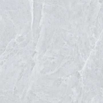 Apavisa, Himalaya - Grey, Silk, 99.55x99.55cm, 10.00mm, Rett.