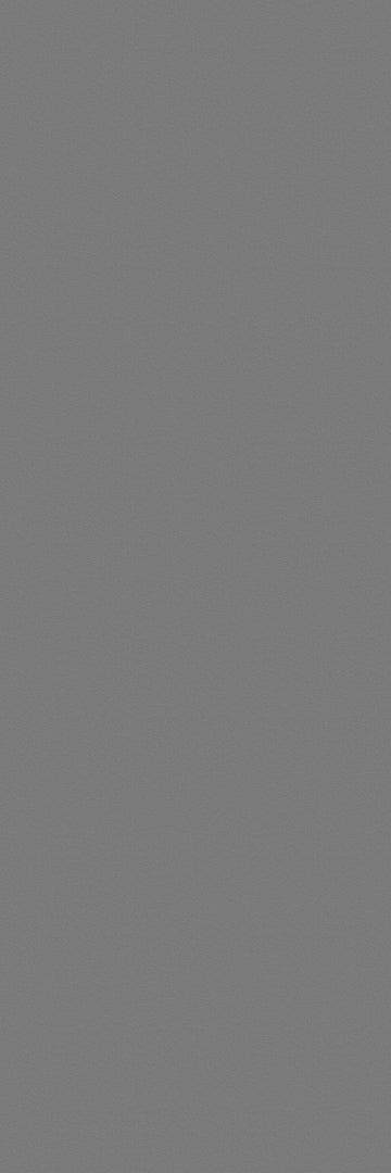 Technolam, Basic - Fumo, Levigato, 100x300cm, 5.60mm, Rett.