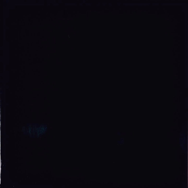 La Fenice Ceramiche, Cromie - Nero, Glossy, 20x20cm, 10.00mm