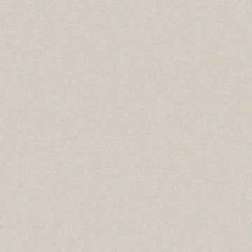 Casalgrande Padana, Architecture - Warm Grey, Gloss, 60x60cm, 9.40mm, Rett.