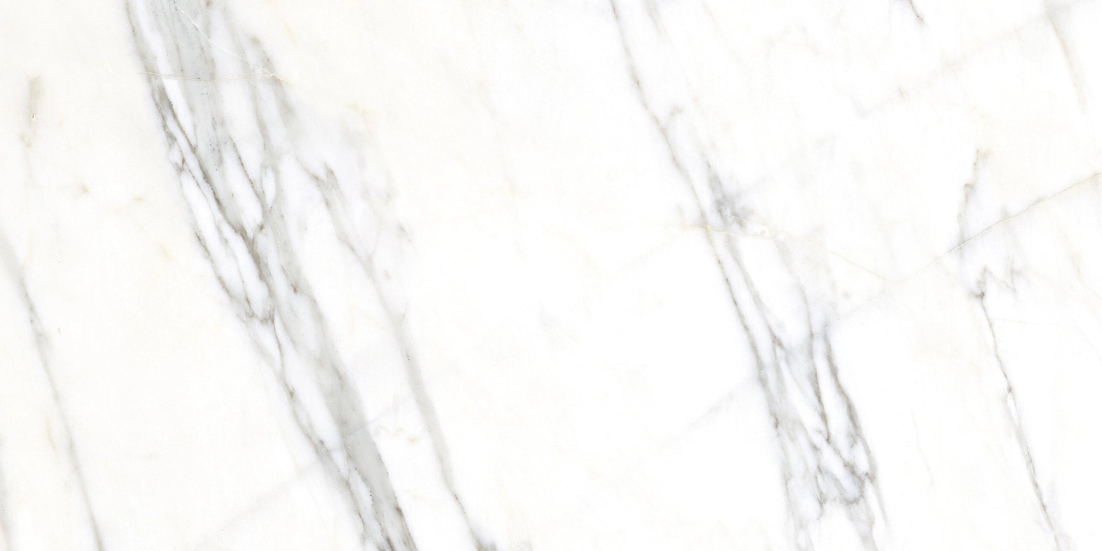 Vives Ceramica, Erdek - Verbier, Pulido, 59.3x119.3cm, 11.00mm, Rett.