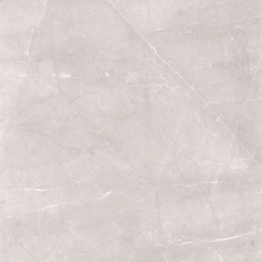 Cerdomus, Mexicana - 72934 - Silver, Levigato, 60x60cm, 9.50mm, Rett.