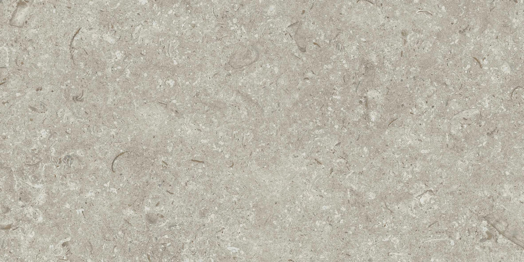 Grespania, Fosil - 46F262R - Gris, Matt, 30x60cm, 10.00mm, Rett.