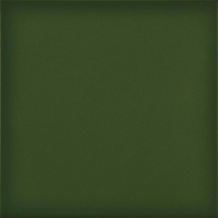 La Fenice Ceramiche, Cromie - Verde, Matt, 20x20cm, 10.00mm