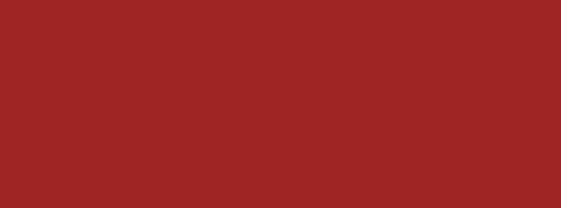 Love Tiles, Genesis - Red, Matt, 45x120cm, 10.50mm, Rett.